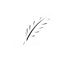 filli
